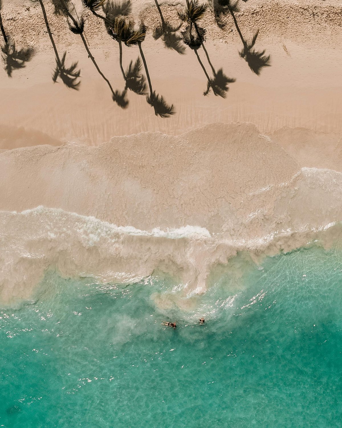 Turquoise water meeting palm-lined sand near the Swell retreat