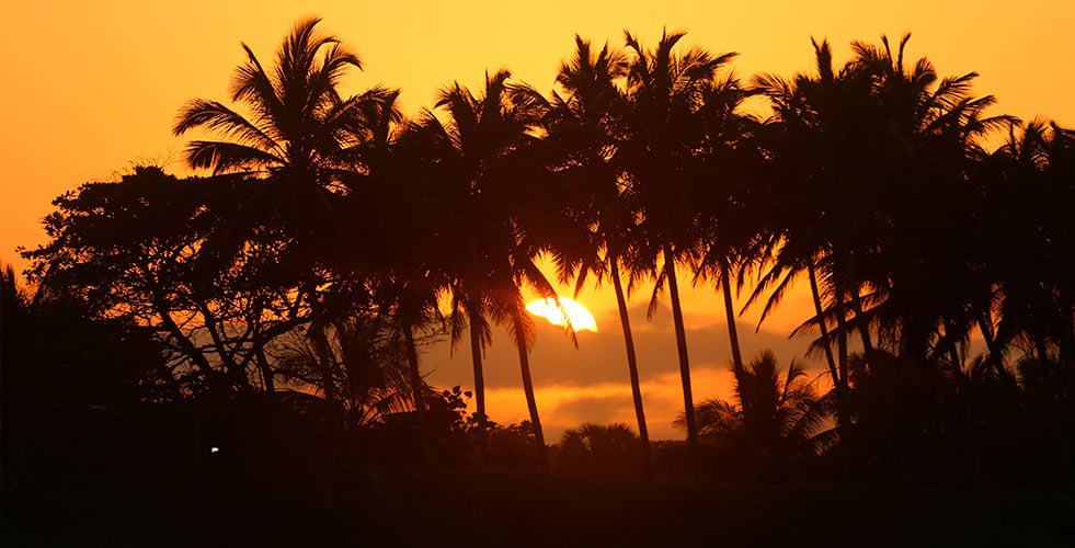yoga surf retreat