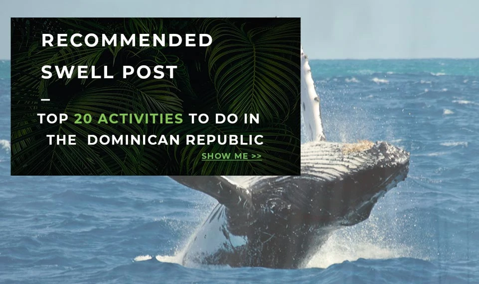 top 20 activities in the DR