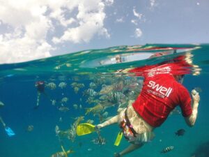 Snorkeling activities dominican republic