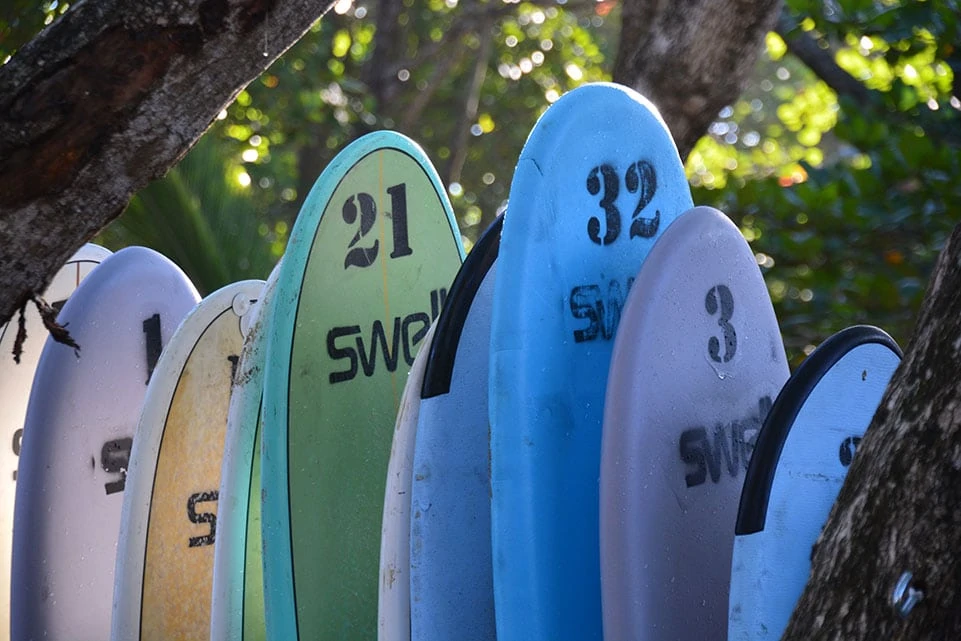 Swell Surfboards