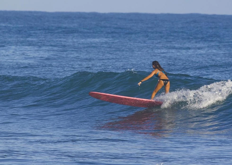 Aerial view of the cove at Swell, Cabarete