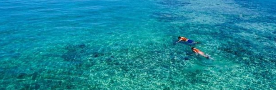 snorkeling sosua