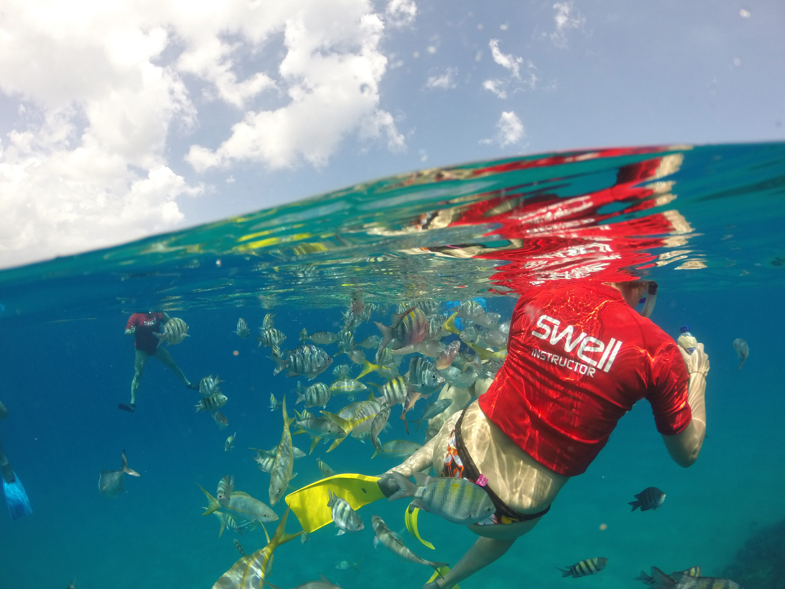 Snorkel & dive