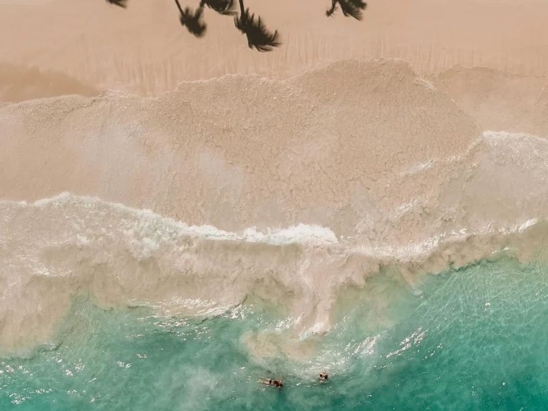 Aerial view of turquoise water meeting palm-lined sand