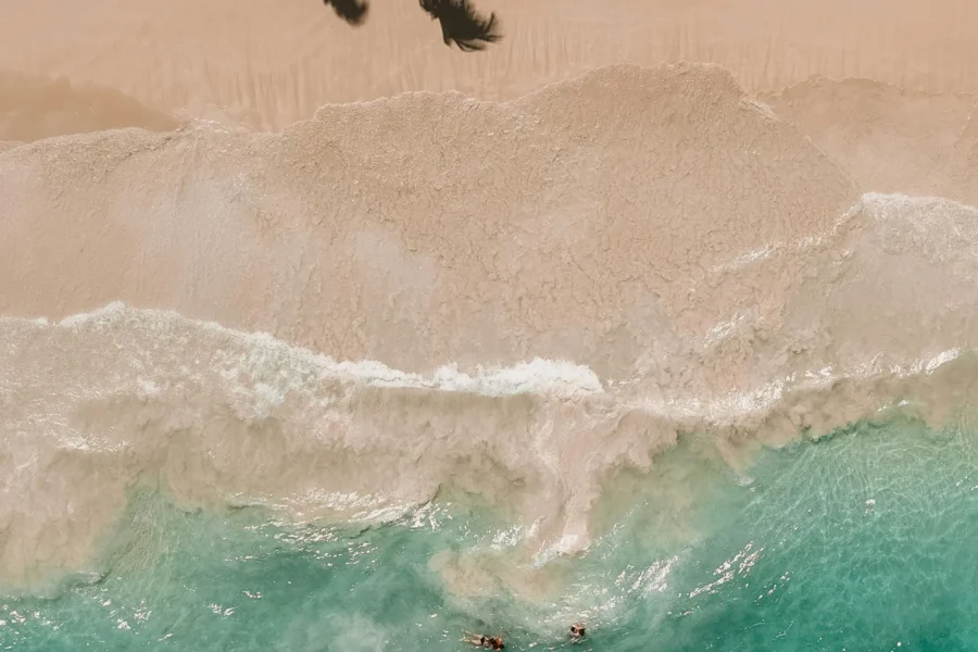 Aerial view of turquoise water meeting palm-lined sand